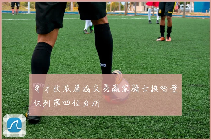 奇才收浓眉成交易赢家骑士换哈登仅列第四位分析